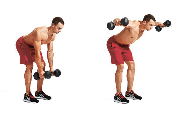 Bent-over dumbbell fly